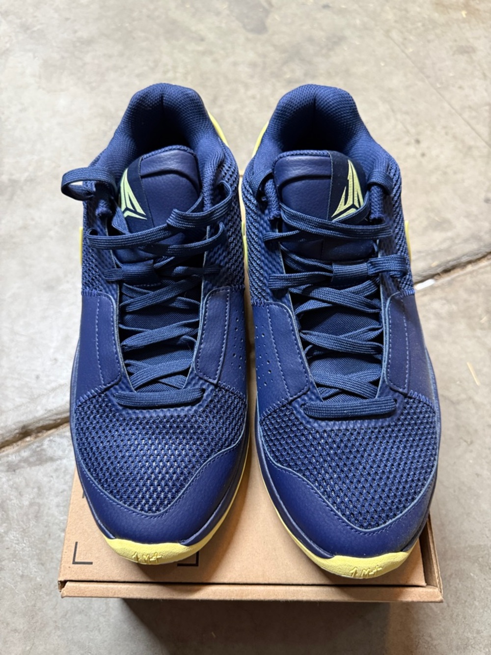 Ja Morant Nike Athletic Shoe